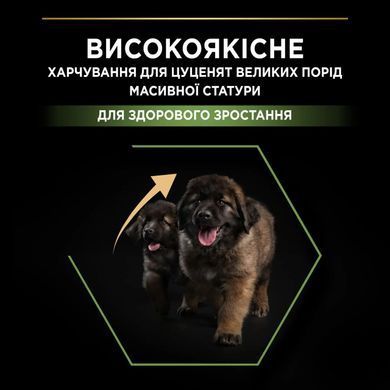 Purina ProPlan Dog Puppy Large Robust - Сухий корм для цуценят великих порід, з куркою 12 кг