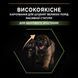 Purina ProPlan Dog Puppy Large Robust - Сухий корм для цуценят великих порід, з куркою 12 кг
