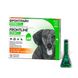 Frontline Combo (Фронтлайн Комбо) капли от блох и клещей для собак 2-10 кг, упаковка