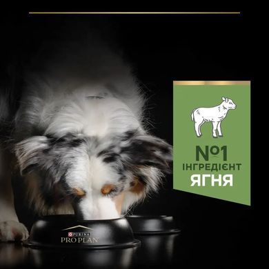ProPlan Medium Sensitive Lamb - Сухий корм для собак середніх порід, з ягням 3 кг