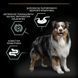 ProPlan Medium Sensitive Lamb - Сухий корм для собак середніх порід, з ягням 3 кг