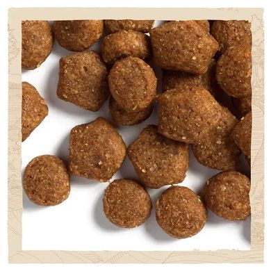 Dog Chow Puppy - Cухий корм для цуценят з ягням 2,5 кг