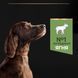 ProPlan Large Athletic Adult Sensitive Digestion Lamb - Сухий корм з ягням для дорослих собак великих порід атлетичної статури із чутливим травленням з ягням 14 кг