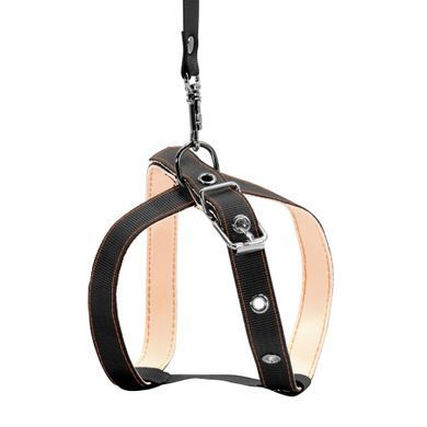 Collar Шлея з повідцем CoLLaR для котів