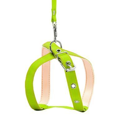 Collar Шлея з повідцем CoLLaR для котів