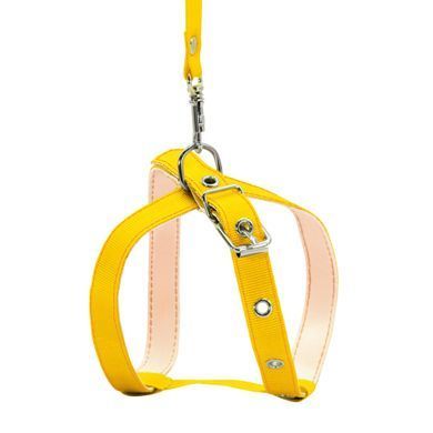 Collar Шлея з повідцем CoLLaR для котів