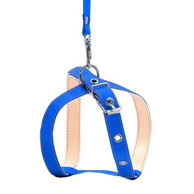 Collar Шлея з повідцем CoLLaR для котів