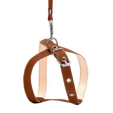 Collar Шлея з повідцем CoLLaR для котів