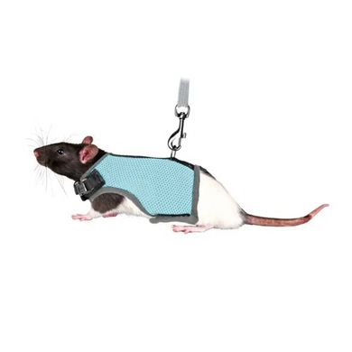 Trixie Шлейка с поводком для крысы нейлон «Soft» (в цветовом ассортименте)