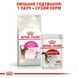 Royal Canin (Роял Канін) EXIGENT AROMATIC Cухий корм для кішок, вибагливих до аромату корма 0,4 кг