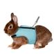 Trixie Шлейка с поводком для крысы нейлон «Soft» (в цветовом ассортименте)