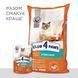 Влажный корм Клуб 4 Лапы Adult Cat Premium для взрослых стерилизованных кошек, с курицей, 80 г