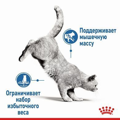 Royal Canin (Роял Канин) LIGHT WEIGHT CARE Влажный корм для кошек подвержен лишнему весу, кусочки в желе