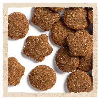 Dog Chow Puppy Large Breed - Cухий корм для цуценят з індичкою 14 кг
