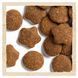 Dog Chow Puppy Large Breed - Cухий корм для цуценят з індичкою 14 кг