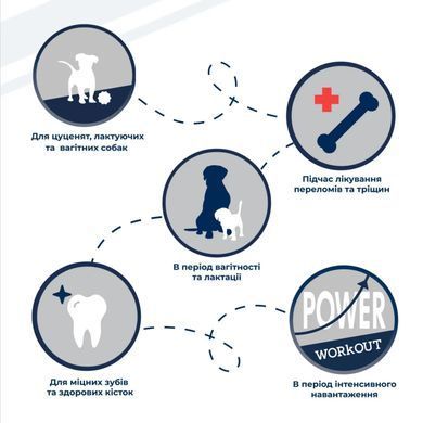 Dr.Clauder's Mineral & Fit Bonefort - Витаминно-минеральная добавка для собак в период интенсивного роста, в условиях повышенной нагрузки и стресса на организм, или для пожилых собак, 500 г