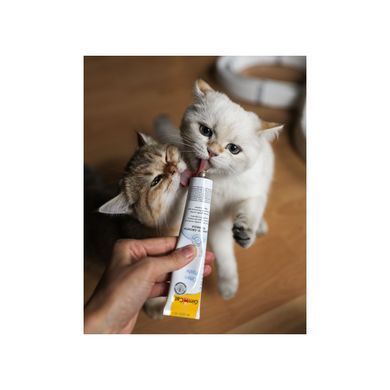 GimCat Expert Line Kitten Витамины для котят витаминизированная паста 50 г