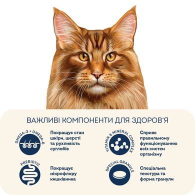 Home Food Полнорационный сухой корм для стерилизованных/кастрированных кошек крупных пород &laquo;Телятина с лососем и вялеными томатами&raquo; 400 г