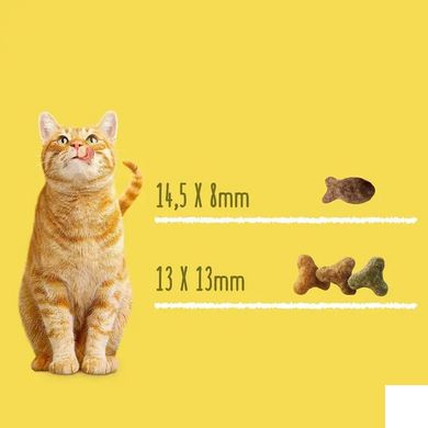 Friskies - Сухой корм для кошек с лососем и овощами 0,3 кг
