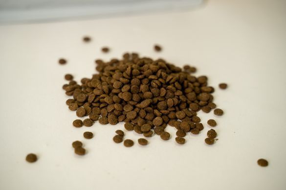 Nature&rsquo;s Protection SC Red Coat Grain Free Adult Small Breeds with Salmon - беззерновий корм для дорослих собак з рудим забарвленням шерсті, для малих порід 1,5 кг