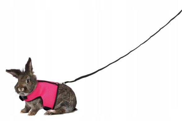 Trixie Шлейка з повідцем для кролика нейлон XL «Soft» (кольори в асортименті)