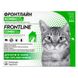 FrontLine Combo Spot On (Фронтлайн Комбо) капли от блох и клещей для котов