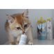 GimCat Expert Line Kitten Витамины для котят витаминизированная паста 50 г
