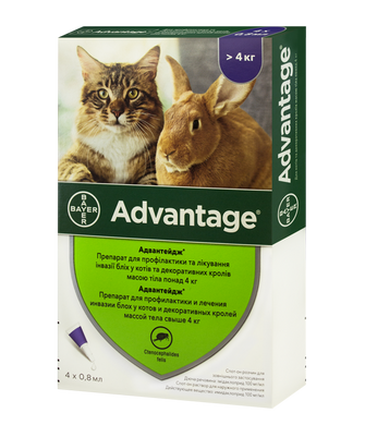 Bayer ADVANTAGE 80 (Адвантейдж) капли на холку от блох и клещей для котов от 4кг, пипетка