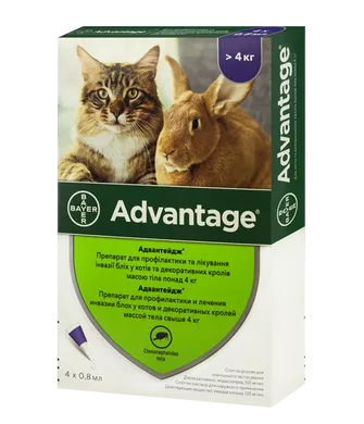 Bayer ADVANTAGE 80 (Адвантейдж) капли на холку от блох и клещей для котов от 4кг, упаковка - Зоомагазин, ветаптека, зоотовары, ветпрепараты