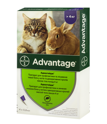 Bayer ADVANTAGE 80 (Адвантейдж) капли на холку от блох и клещей для котов от 4кг, упаковка