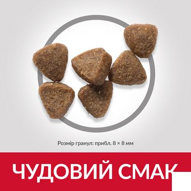 HILL'S SP Kitten Хіллс Сухий Корм для Котенят з Куркою - 300 г