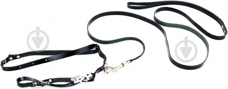 Collar Brilliance Шлея з повідцем для собак, лакована шкіра