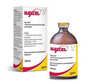 Zoetis НАКСЕЛЬ, Naxcel - Антибактеріальний препарат 100 мл