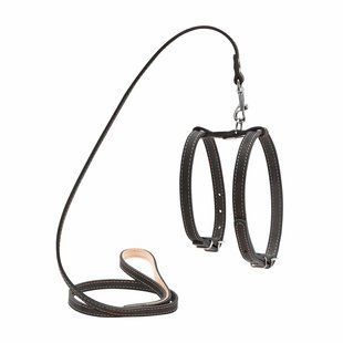 Collar Шлея "CoLLaR" с поводком для мелких собак