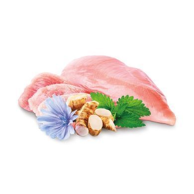 Home Food Повнораціонний сухий корм для кошенят Fresh Chicken 1,6 кг