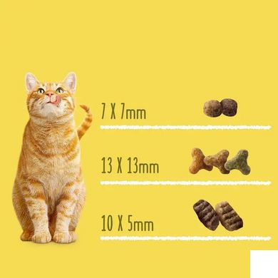 Friskies - Сухой корм для кошек с говядиной и курицей 10 кг