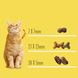 Friskies - Сухий корм для кішок з яловичиною та курка 10 кг