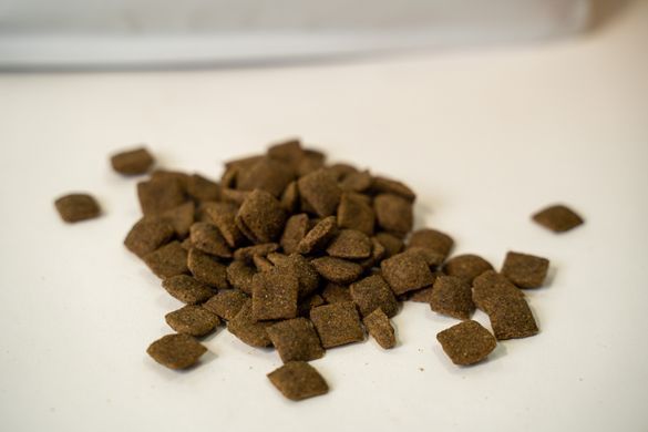 Nature&rsquo;s Protection SC Red Coat Grain Free Adult All Breeds with Lamb - беззерновий корм для дорослих собак всіх порід з рудим забарвленням шерсті 4 кг