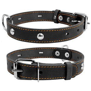 Collar Нашийник одинарний CoLLaR з прикрасою