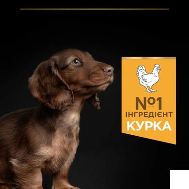 ProPlan Dog Puppy Small & Mini - Сухий корм для цуценят дрібних порід з куркою 3 кг