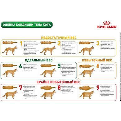 Сухой корм Royal Canin Mature Consult для кошек от 7 лет без видимых признаков старения, 1.5 кг