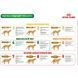 Сухой корм Royal Canin Mature Consult для кошек от 7 лет без видимых признаков старения, 1.5 кг
