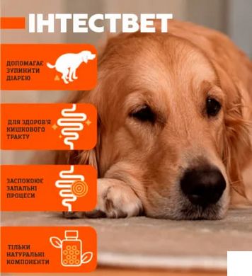 Dr.Vet Intensvet Вітамінно-мінеральна добавка для собак і котів 40 таблеток