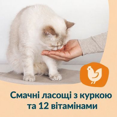 GimCat Nutri Vitamin Bites Витамины для кошек для повышения иммунитета 40 г