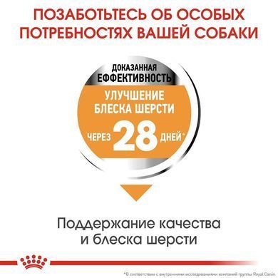 Сухий корм Royal Canin Mini Coat Care для собак дрібних порід з тьмяною і сухий шерстю, 1 кг
