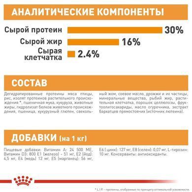Сухий корм Royal Canin Mini Coat Care для собак дрібних порід з тьмяною і сухий шерстю, 1 кг