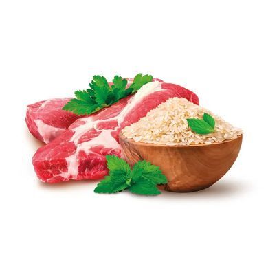 Home Food Полнорационный сухой корм для взрослых активных собак и юниоров маленьких пород &laquo;Ягненок с Рисом&raquo; 300 г