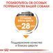 Сухий корм Royal Canin Mini Coat Care для собак дрібних порід з тьмяною і сухий шерстю, 1 кг