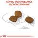 Сухий корм Royal Canin Mini Coat Care для собак дрібних порід з тьмяною і сухий шерстю, 1 кг