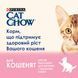 Cat Chow Kitten Кусочки в желе индейка и цукини для котят 85 г